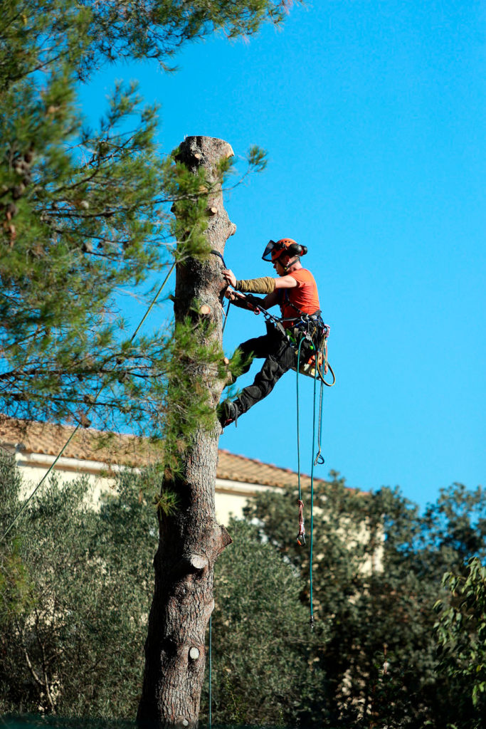 Efectos al pasar el cursor sobre la imagen